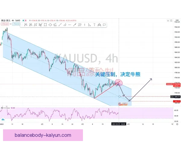 南美足球发展现状分析与未来趋势探讨